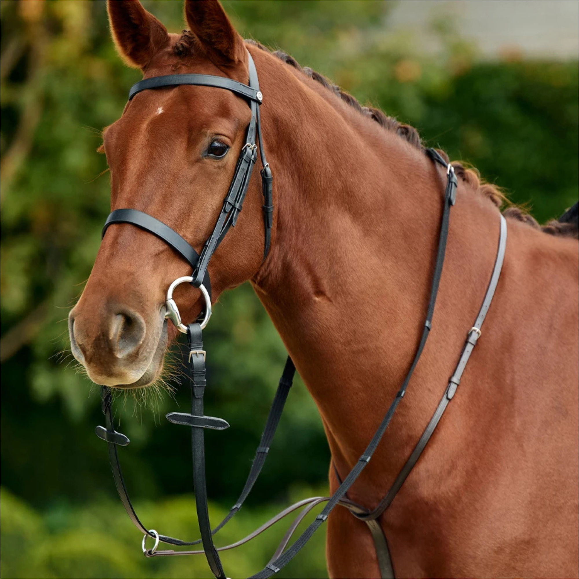 2026 Dublin Running Martingale 1031505 - Black
